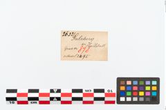 Etikett zu Bronzerollenkopfnadel (NHMW-PRAE-026321)